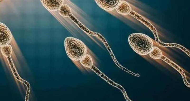 试管促排卵方案怎么选？远播优育给您几点建议！