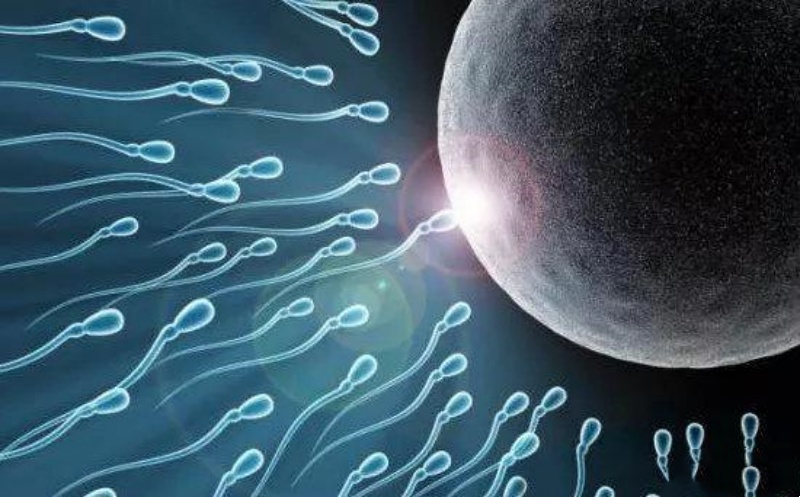 生活中怎么改善和提高精子活力？备孕男性必看！