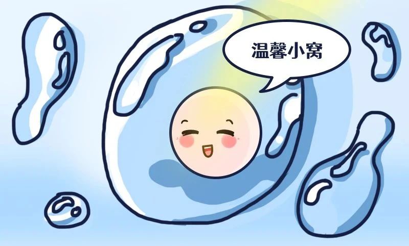 为宝宝铺好路！胚胎移植前准妈妈必了解的几件事！