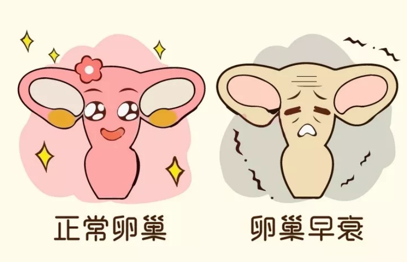 卵巢功能好不好？除了AMH，这两个关键指标你必须知道！