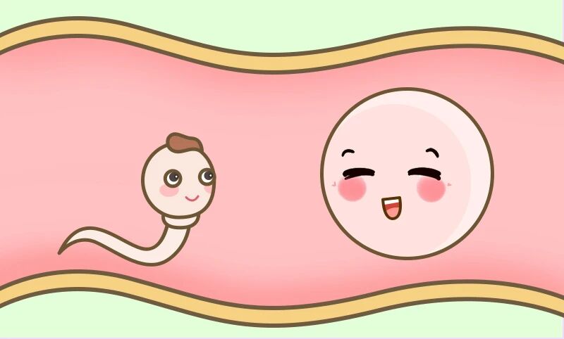 闯过这3关，试管就成功了一半！