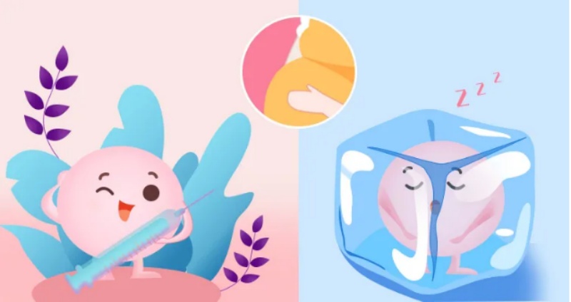 冻胚会降低试管助孕成功率吗？