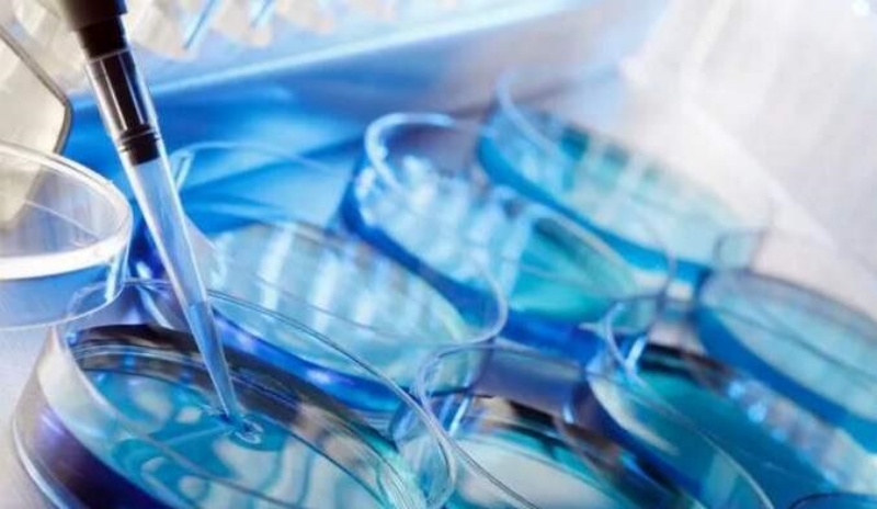 为什么有人能移植鲜胚，有人只能移植冻胚？