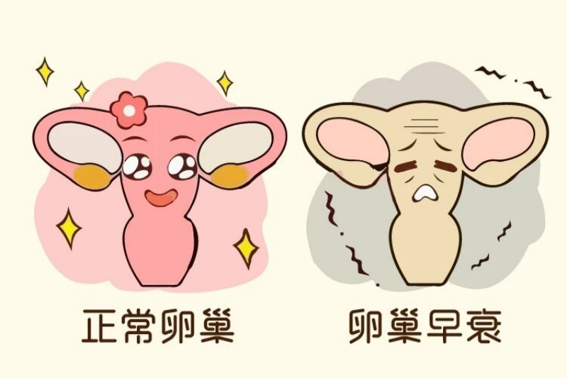 卵巢功能下降、卵巢早衰导致的不怀孕怎么办？