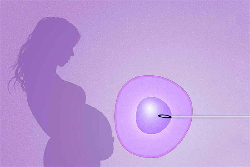 试管促排期间怎么做才能取到好卵子？